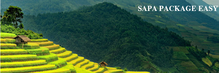 Sapa tour